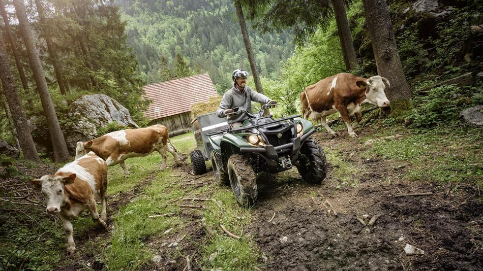 Yamaha Kodiak 700 / EPS / SE - Afbeelding 9