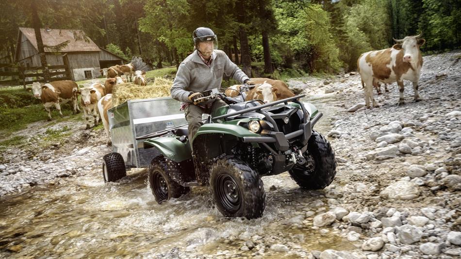 Yamaha Kodiak 700 / EPS / SE - Afbeelding 6