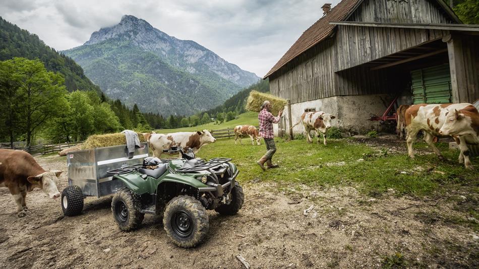 Yamaha Kodiak 700 / EPS / SE - Afbeelding 4