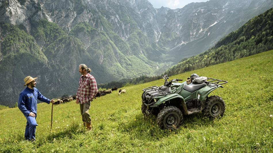 Yamaha Kodiak 700 / EPS / SE - Afbeelding 2